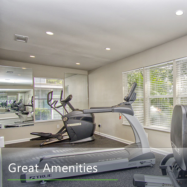 Features and Amenities